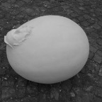 DSCF2444